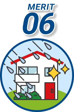 MERIT06